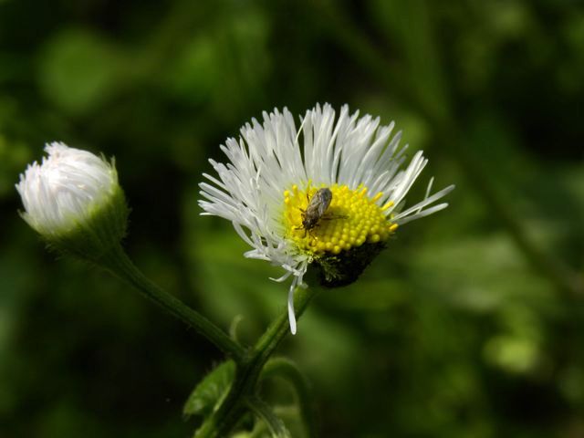 dscn2042.jpg