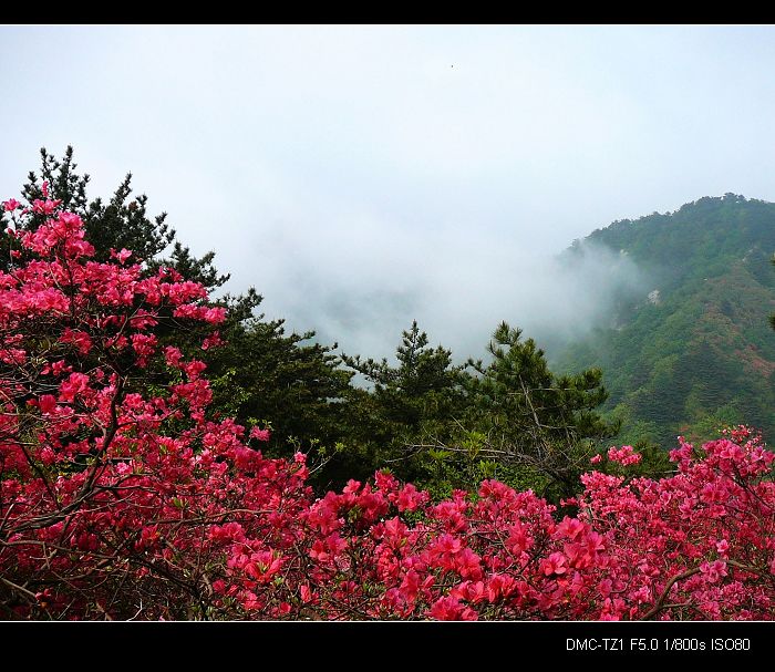 p1270962-a.jpg