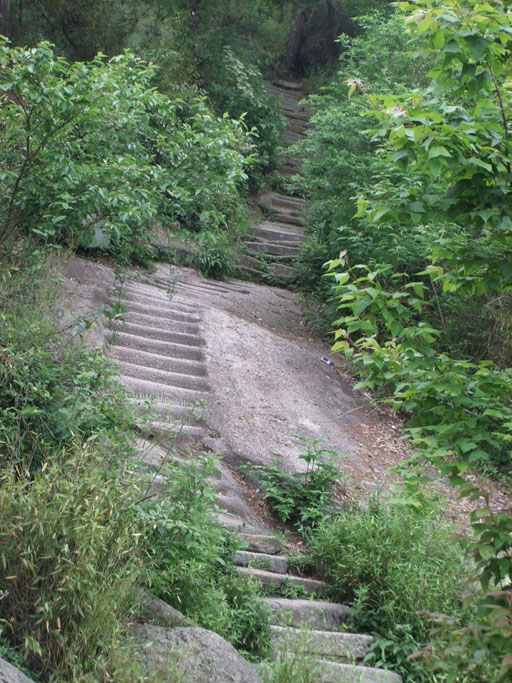 dscf0607.jpg