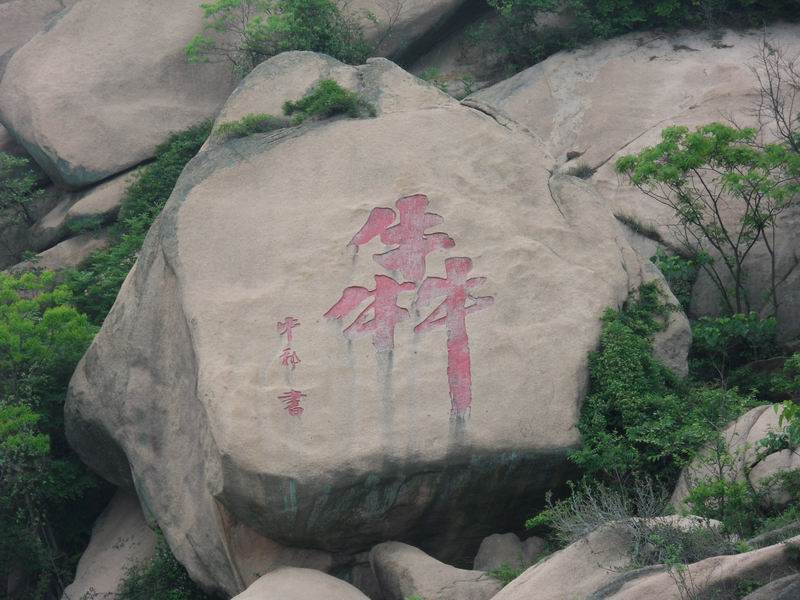 С sdc10328.jpg