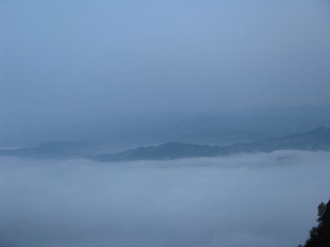 neo_img_img_2604.jpg