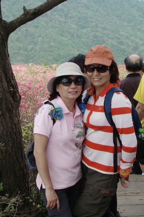 dsc07187.jpg