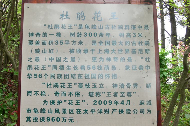 p1100296.jpg
