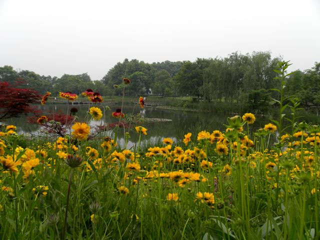 ʱ 065.jpg