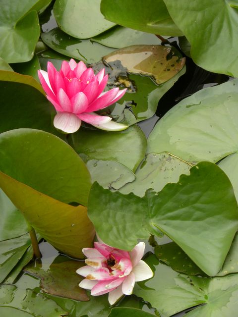 ʱ 023.jpg