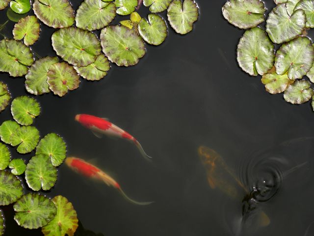 dscn2049.jpg