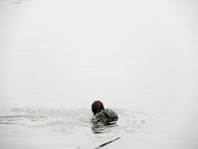 ʱ 033.jpg