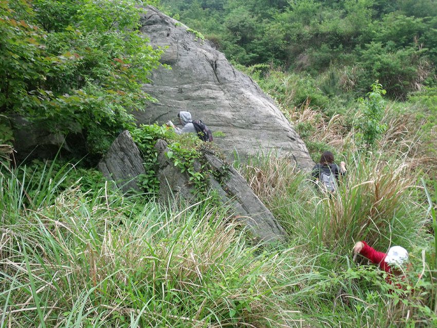 2010-5-15ž黨 073.jpg