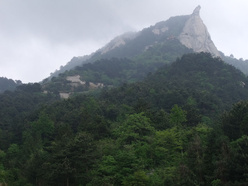2010-5-15ž黨 097.jpg