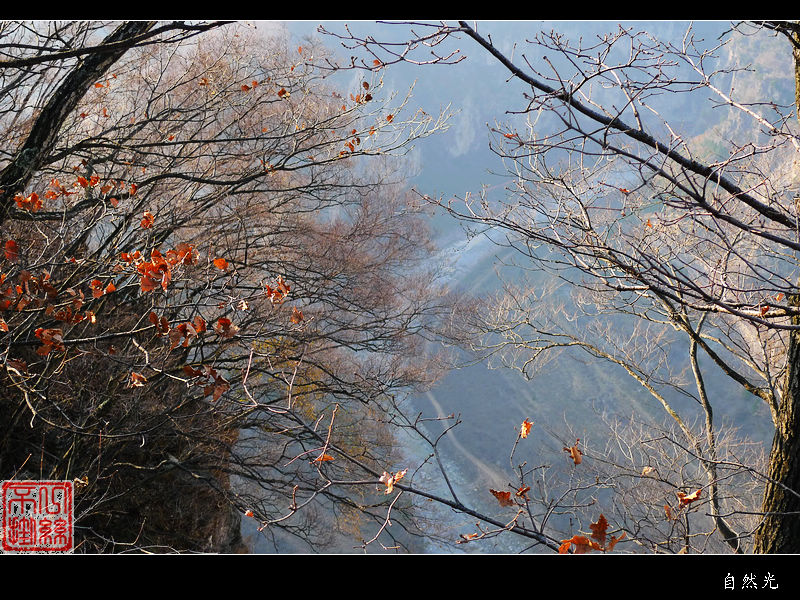 l1070384.jpg