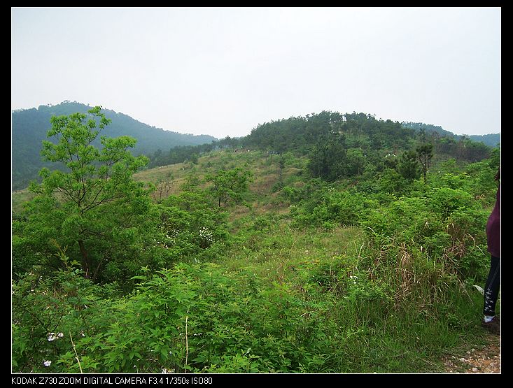 2010-5-15 012.jpg
