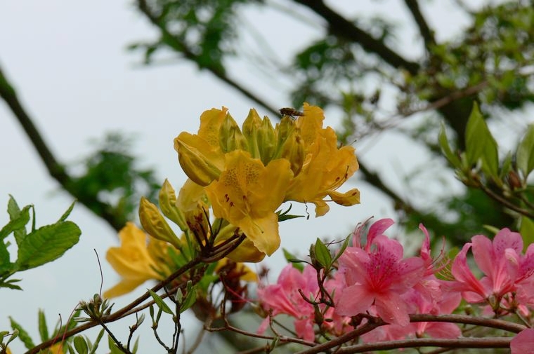 p1100361.jpg