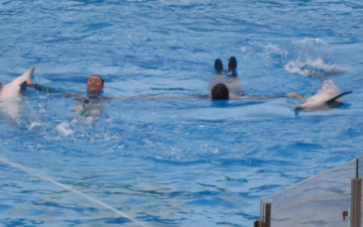 05.jpg