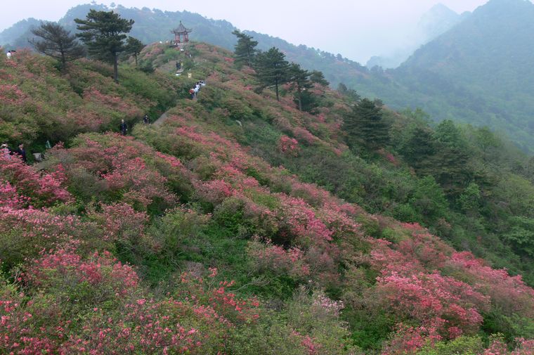 p1100374.jpg