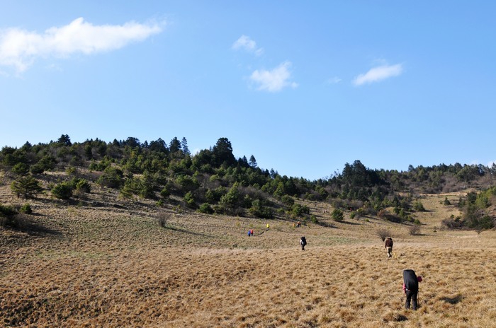 p31.jpg