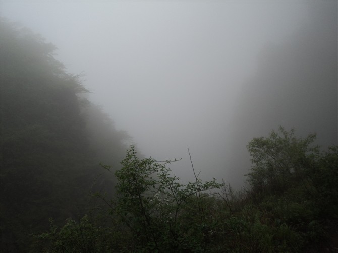 05.jpg