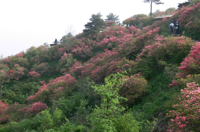 p1100370.jpg