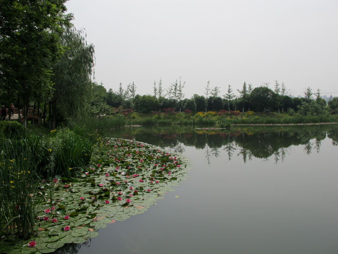 yuen 007.jpg