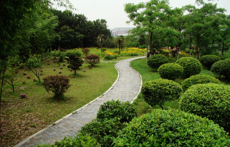 dsc07345.jpg