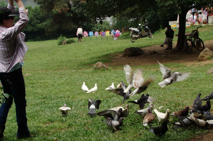 dsc07404.jpg