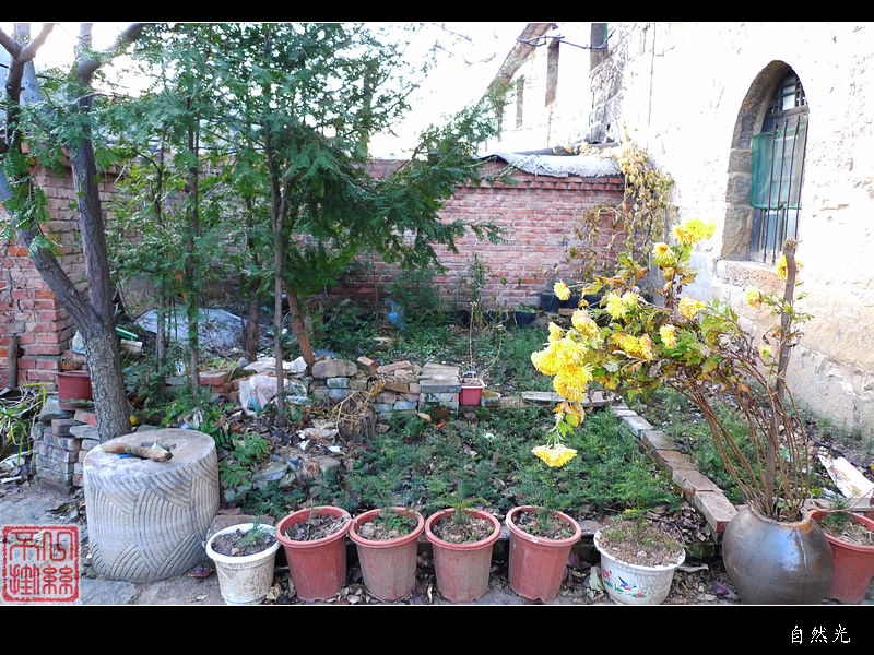l1070404.jpg