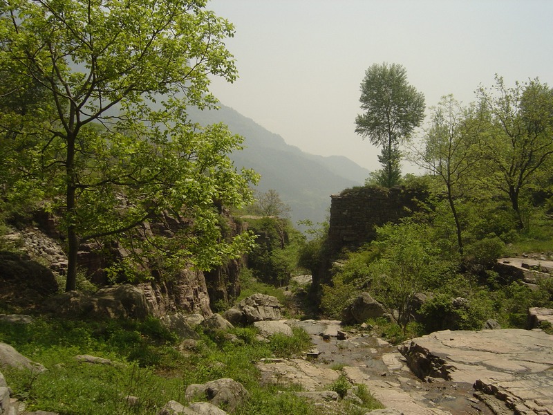 dsc03547.jpg
