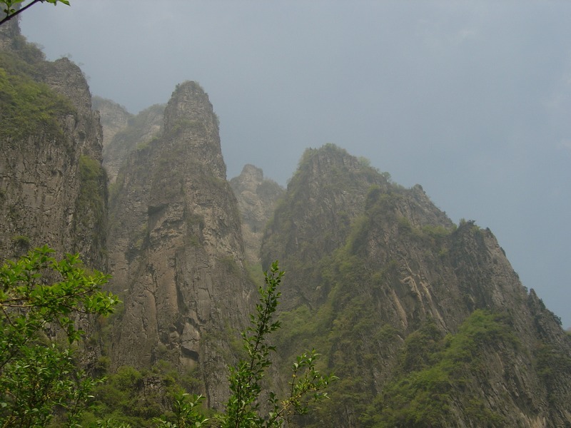 dsc03552.jpg