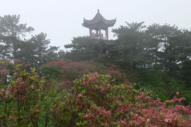 p1100248.jpg