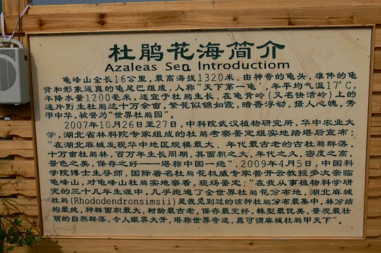 p1100367.jpg