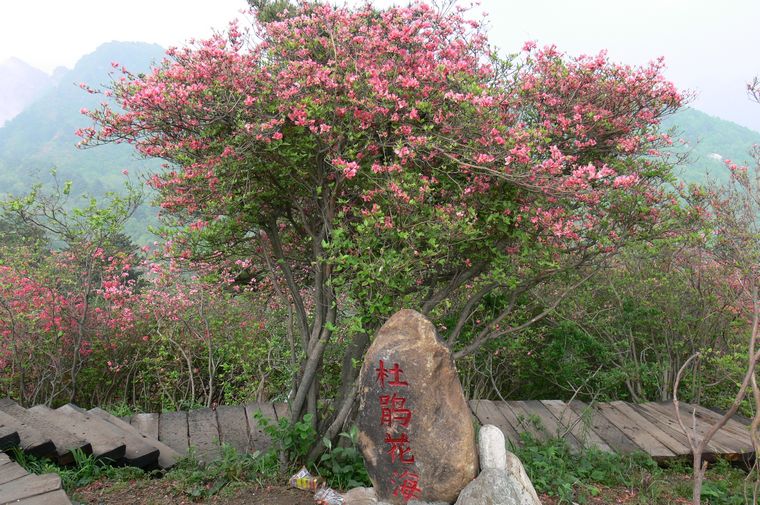 p1100373.jpg