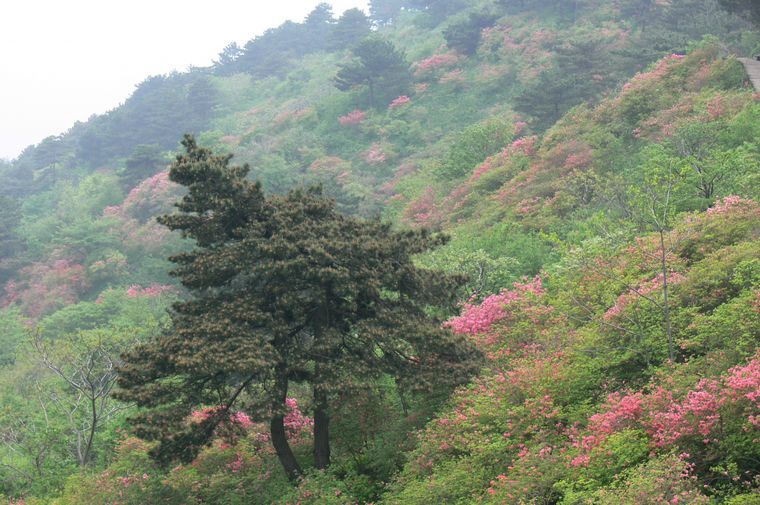 p1100384.jpg