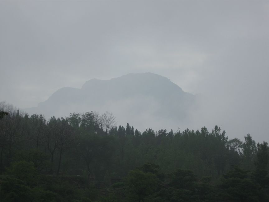 img_30631.jpg