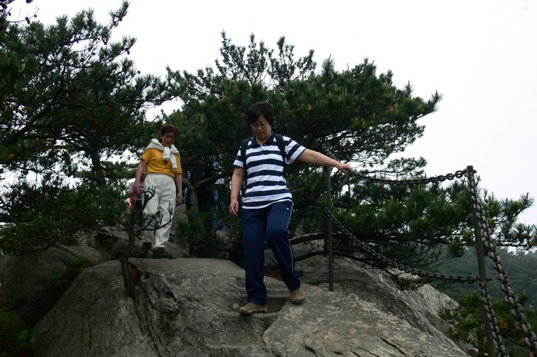 p1100390.jpg