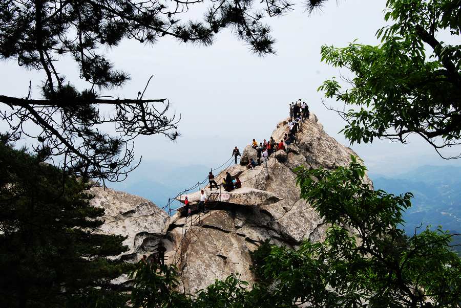 dsc_0009_Ӱ_1.jpg