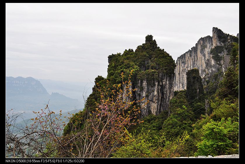 dsc_0587.jpg