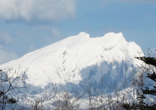 img_1854.jpg