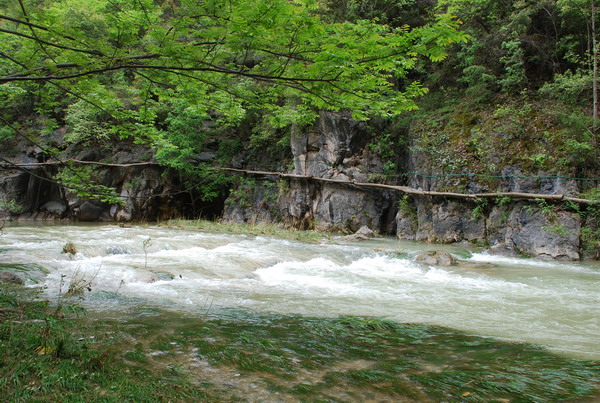 2010572165852114.jpg