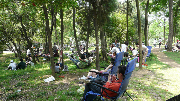 p1120123.jpg