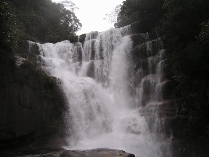 pict0098_С.jpg