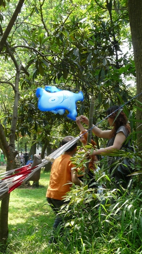 p1120113.jpg