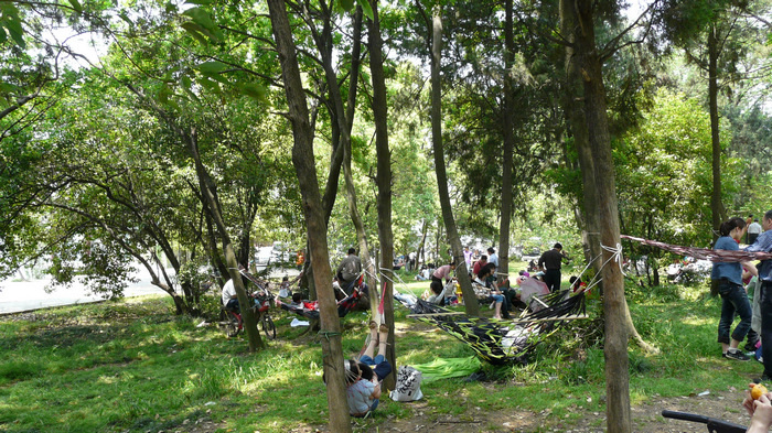 p1120117.jpg