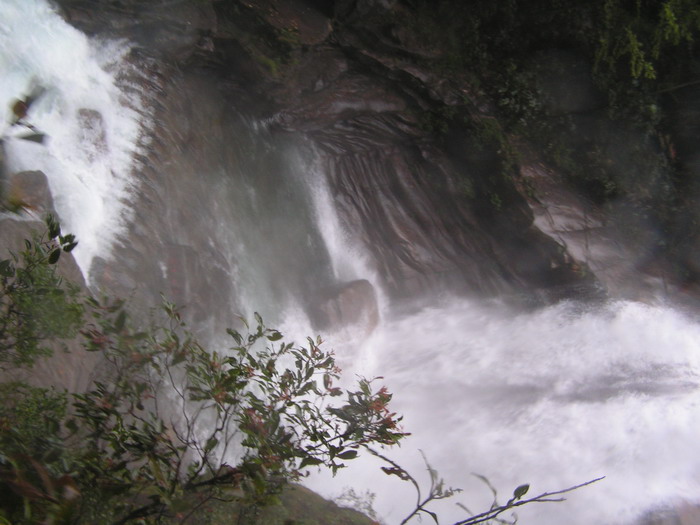 pict0116_С.jpg
