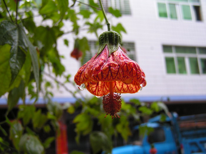 pict0142_С.jpg