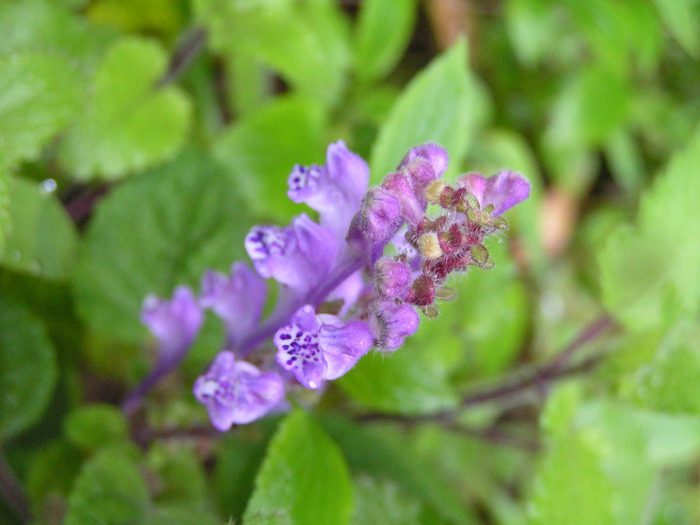 pict0219_С.jpg