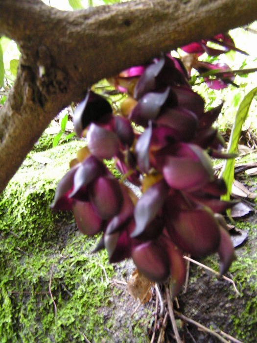 pict0240_С.jpg