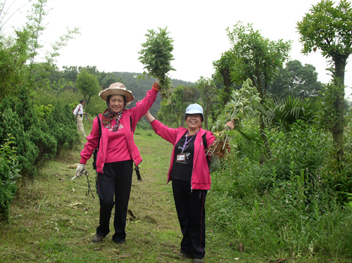 p1010058.jpg