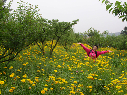 p1010009.jpg