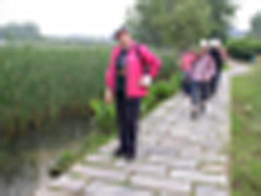 p1010027.jpg