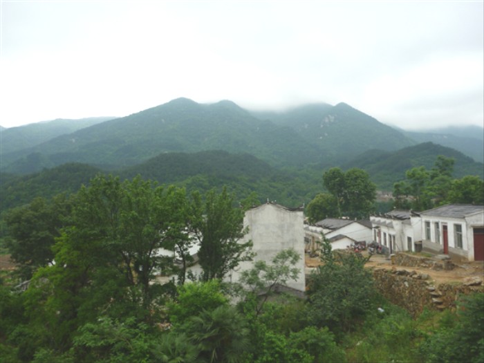 p1000639_.jpg