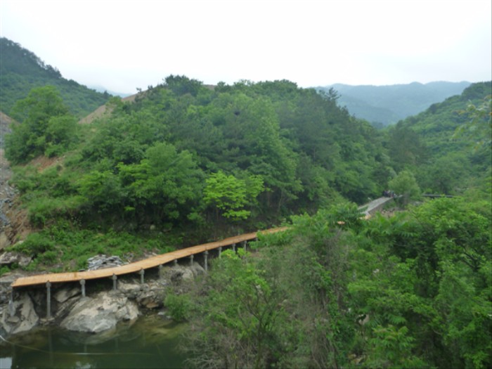 p1000644_.jpg